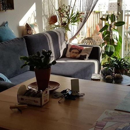 Appartement Complet Et Parking Protege La Teste-de-Buch Exteriör bild